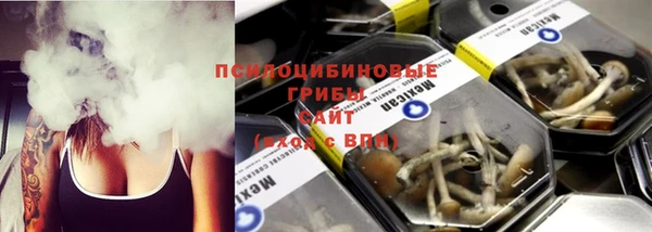прущая мука Арсеньев